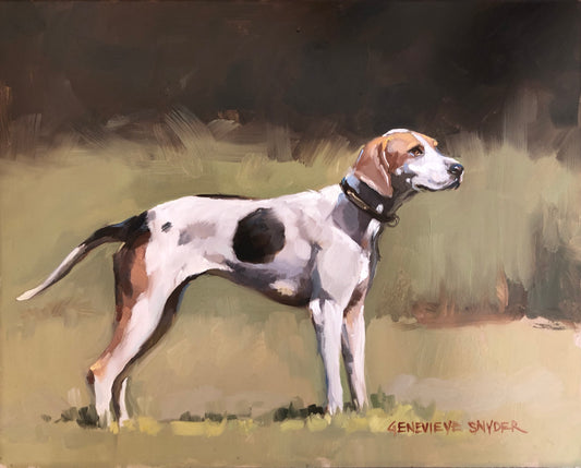 Hound Study